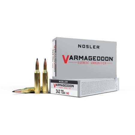 Nosler .243 Winchester, Flat Base Tipped , 70 grain, Brass Cased, 20 Rounds, 61029