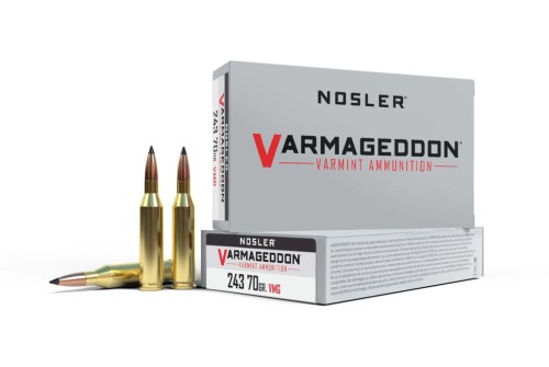 Nosler .243 Winchester, Flat Base Tipped , 70 grain, Brass Cased, 20 Rounds, 61029