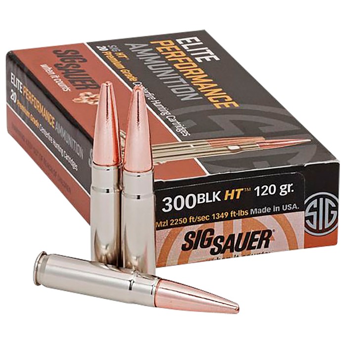 Sig Sauer Elite Copper Hunting Brass .300 Blackout 120-Grain 20-Rounds OTM