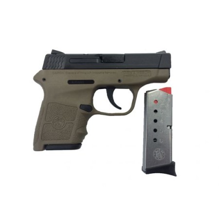 Smith & Wesson Bodyguard .380 Pistol w/o Laser, FDE - 10167