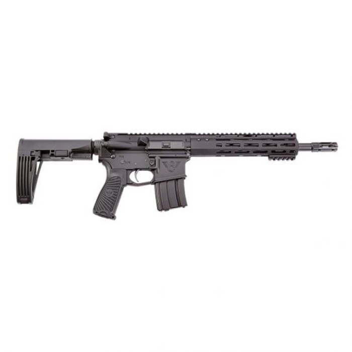 WILSON COMBAT PPE PISTOL W/ BRACE 5.56