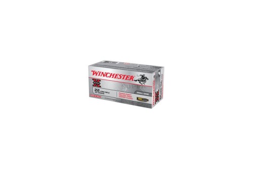 Winchester 22 Long Rifle 40gr Power Point Ammunition, 100 Round Box - X22LRPP1