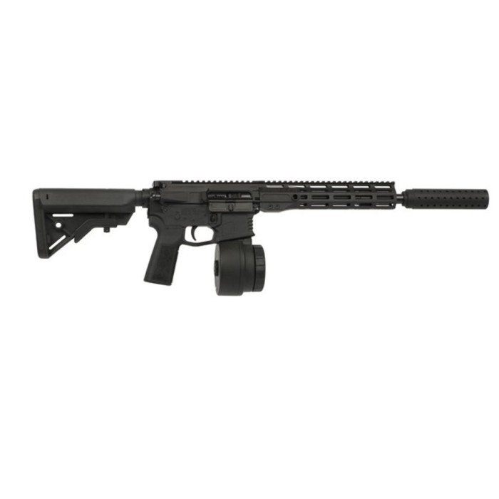 Warrior Systems WSM15 5.56 AR-15 Rifle - 16