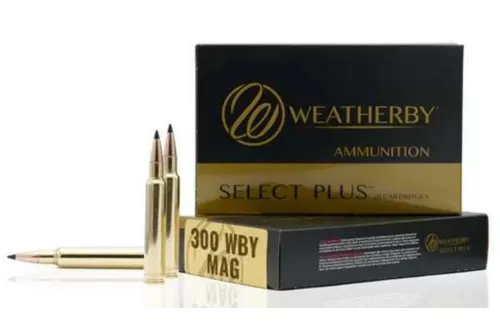 Weatherby Select Plus Brass .300 WBY 195 Grain 20-Rounds Hammer Custom