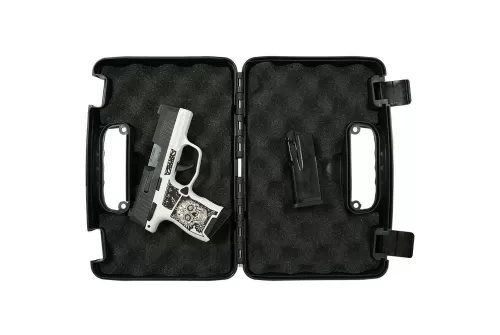 Sig Sauer P365OR 