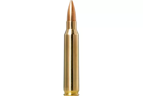 Norma Golden Target Match .223 Remington 69gr Ammo, 20rds - 10157692
