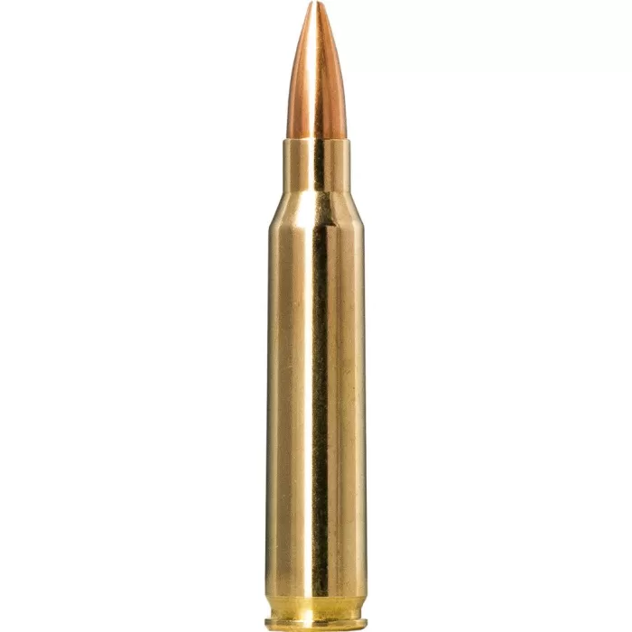Norma Golden Target Match .223 Remington 69gr Ammo, 20rds - 10157692 Norma Golden Target Match .223 Remington 69gr Ammo, 20rds - 10157692