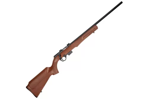 Braztech/Rossi RB22 Wood .22 Win 21