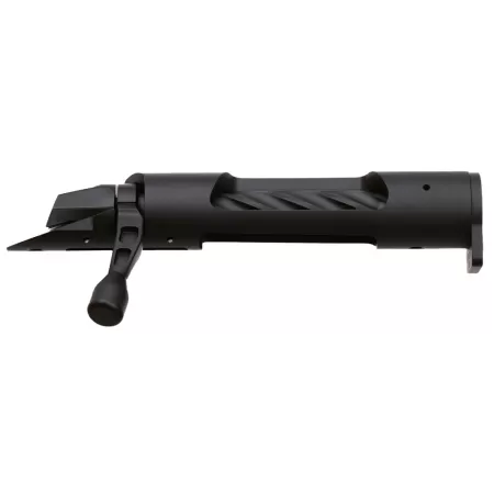 WBY 307 BUILDERS ACTION SHORT 223REM BLK