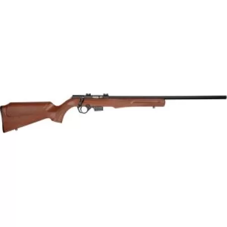 ROSSI RB17 17HMR 21