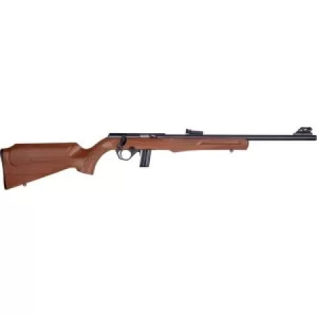 ROSSI RS22 22LR 18