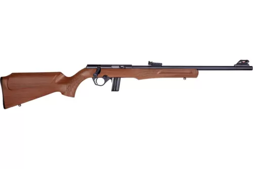 ROSSI RS22 22LR 18
