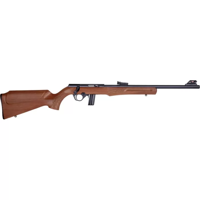 ROSSI RS22 22LR 18