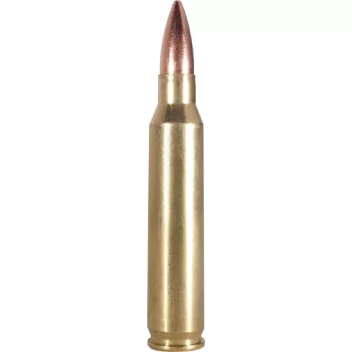 Armscor 62 gr PSP Interlock BT .223 Rem/5.56 Ammo, 20/box - AC2234N