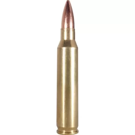 Armscor 55 gr PSP Interlock BT .223 Rem/5.56 Ammo, 20/box - AC2232N