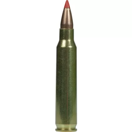 Armscor 55 gr V-Max .223 Rem/5.56 Ammo, 20/box - AC2235N