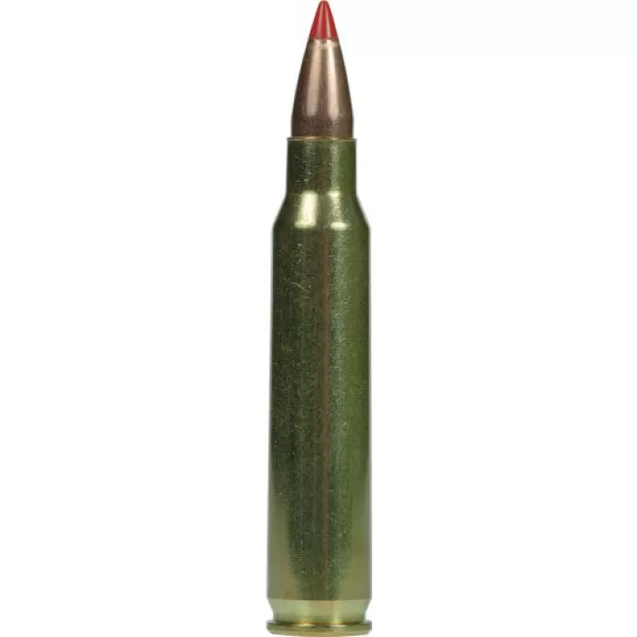 Armscor 55 gr V-Max .223 Rem/5.56 Ammo, 20/box - AC2235N