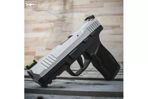 P322 OPTIC READY 22LR 4'' BBL (2) 20RD MAG BLACK