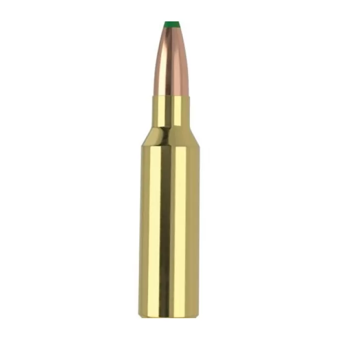 Nosler .300 WSM 165 gr BTHS 20rds Rifle Ammo for Superior Performance - 61035