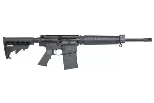 S&W M&P10