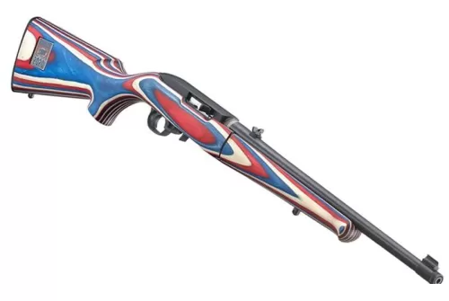 Ruger 10/22 Team USA Take Down 22LR