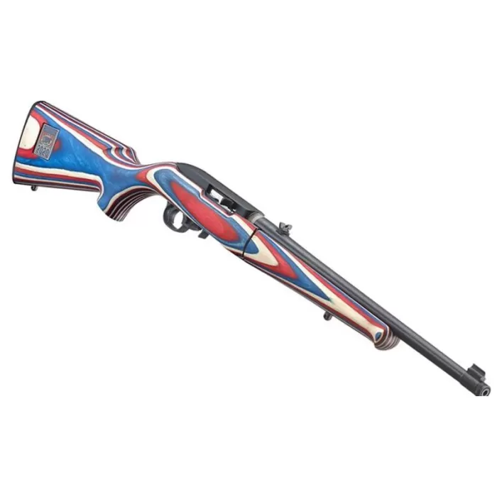 Ruger 10/22 Team USA Take Down 22LR