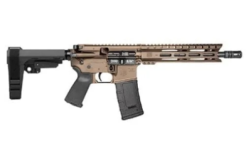 DBF DB15 300BLK 10 30RD BRZ BRACE
