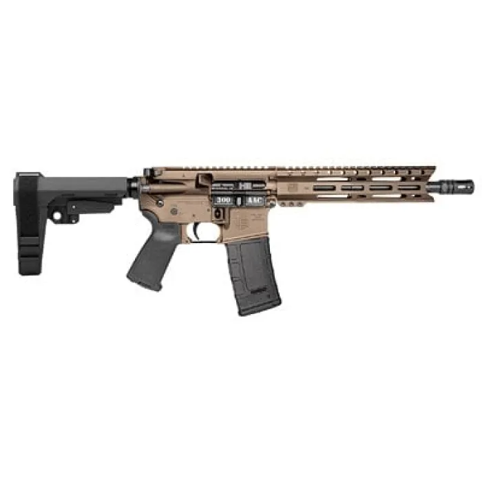 DBF DB15 300BLK 10 30RD BRZ BRACE