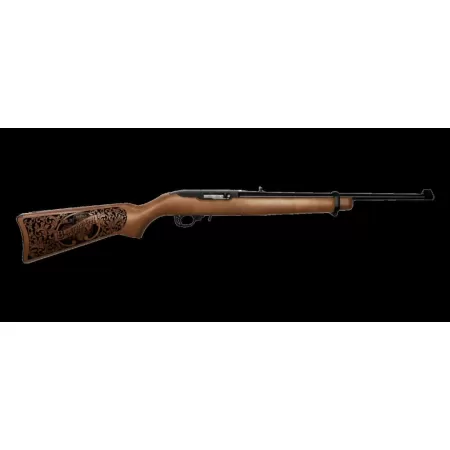 Ruger 10/22 