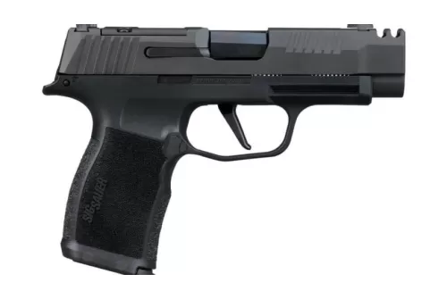 Sig Sauer 365XL380COMPMS P365XL 380 ACP 12+1 3.10" Black Ported Barrel, Black Nitron Stainless Steel Optic Cut/Ported/Serrated Slide, Black Stainless Steel Frame w/Picatinny Rail, Textured Grip, SIG