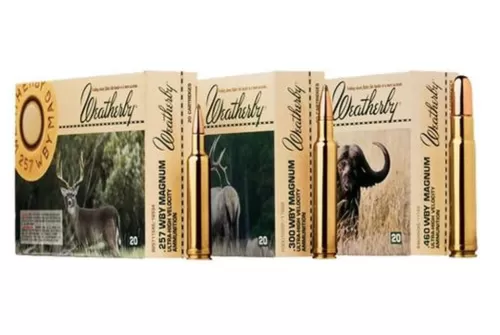 WEATHERBY AMMO 416WBY 350GR BARNES TSX B416350TSX