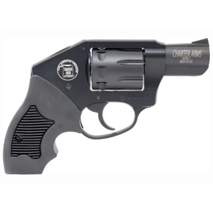 Charter Arms 12311 Walker  22 Mag 8 Shot 2"