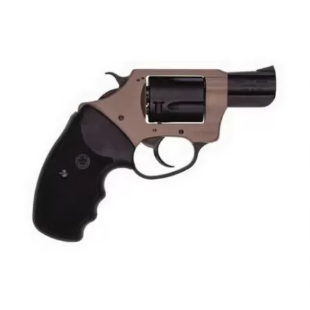 Charter Arms Earthborn 38Spl 2" 5RD 53863