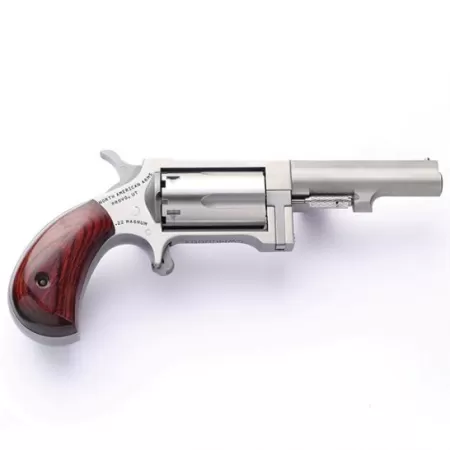 North American Arms Sidewinder Small 2.5" .22 Mag Revolver, SS - SW250