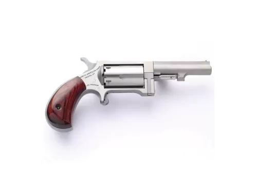 North American Arms Sidewinder Small 2.5" .22 Mag Revolver, SS - SW250