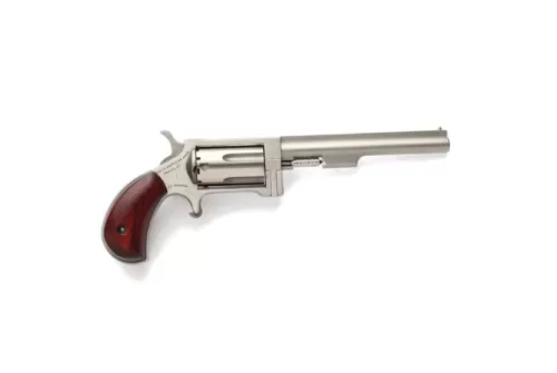 North American Arms Sidewinder Small 4" .22 Mag Revolver, SS - NAA-SW-4