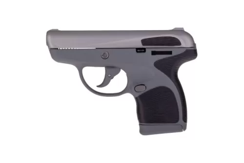 Taurus Spectrum Subcompact .380 Auto Pistol, Gray - 1007039201
