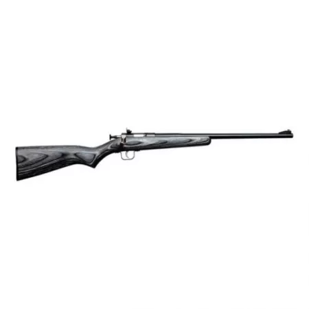 Keystone Sporting Arms Crickett/Laminate .22lr Bolt Action Rifle, Blk - KSA2244