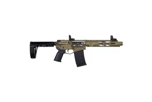Diamondback Firearms DB15 10" .300 Blackout AR Pistol, FDE - DB15P300DS10FDE