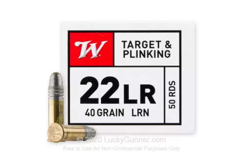 Winchester 22 LR 40 gr Lead Round Nose USA Wildcat 5000/Case