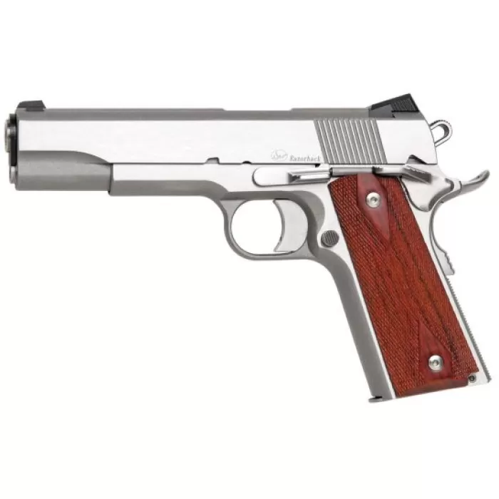 Dan Wesson Razorback RZ-10 10mm Auto Pistol, Forged Stainless - 01907 Dan Wesson Razorback RZ-10 10mm Auto Pistol, Forged Stainless - 01907