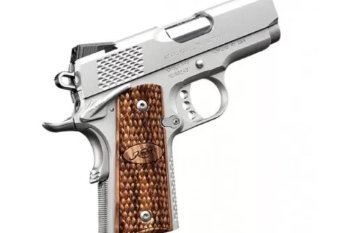 Kimber Stainless Ultra Raptor II 45ACP Pistol
