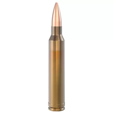 Lapua 300 Winchester Magnum 170gr Naturalis Solid Ammo Box of 10 N317204