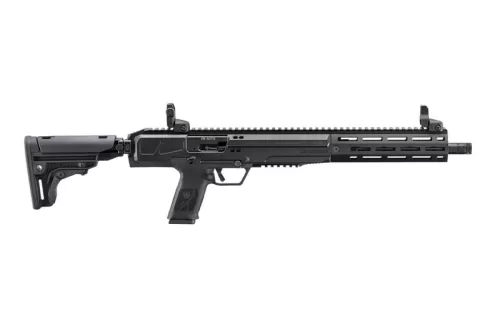 Ruger LC Carbine