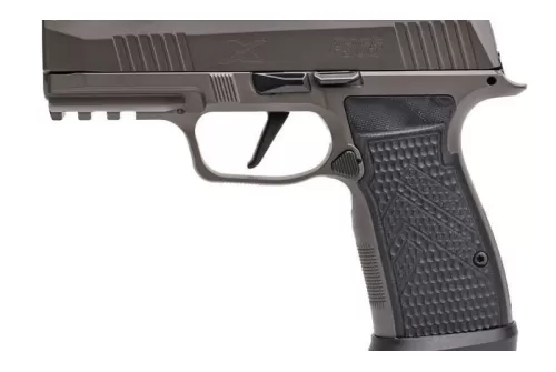Sig Sauer P365 AXG 9mm 3.1
