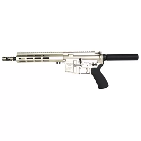 Wmd Micro Beast Frgd 556 5" 10Rd Dis 1-NIBXARPISTOL-5-D