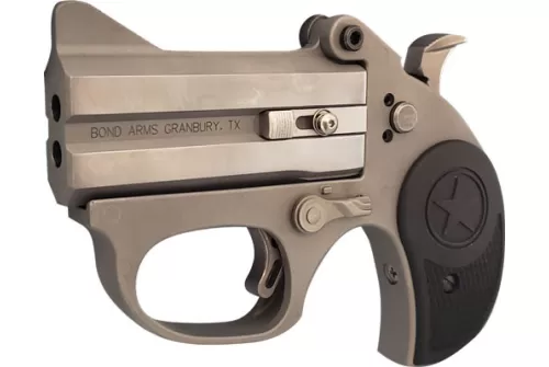Bond Arms Stinger RS Stainless .22 LR 3