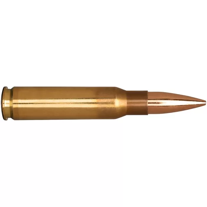 308 Winchester 185gr Classic Hunter Match Grade Ammunition 20 RNDS