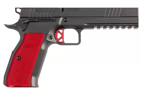 Dan Wesson DWX  9mm Luger 19+1 4.95