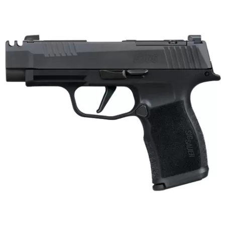Sig Sauer 365XL380COMP P365XL 380 ACP 12+1 3.10" Black Ported Barrel, Black Nitron Stainless Steel Optic Cut/Ported/Serrated Slide, Black Stainless Steel Frame w/Picatinny Rail, Textured Grip, SIG-LO